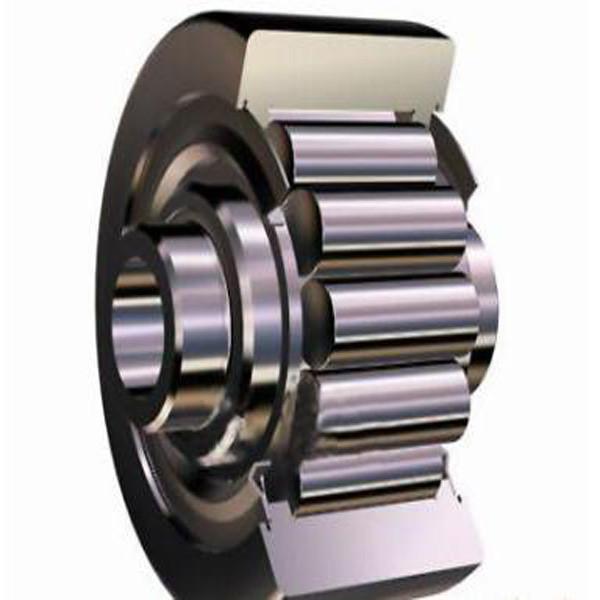 IB-340 Centrifugal Pump Bearings #1 image